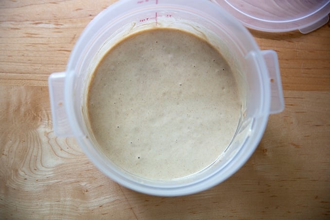 A 2-quart container holding sourdough starter.