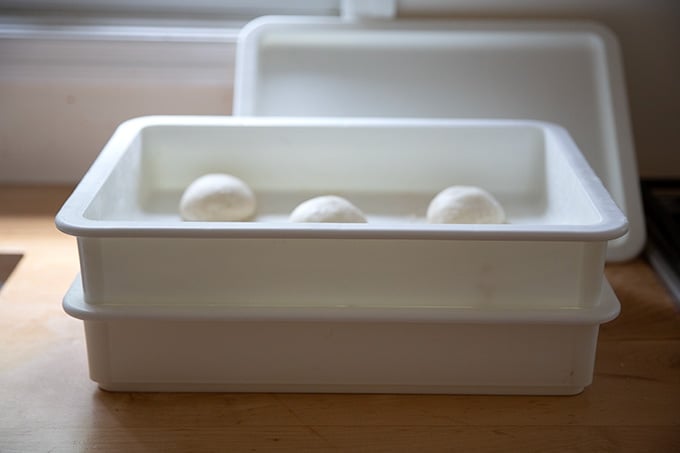 Dough Mate container holding pretzel roll dough balls.