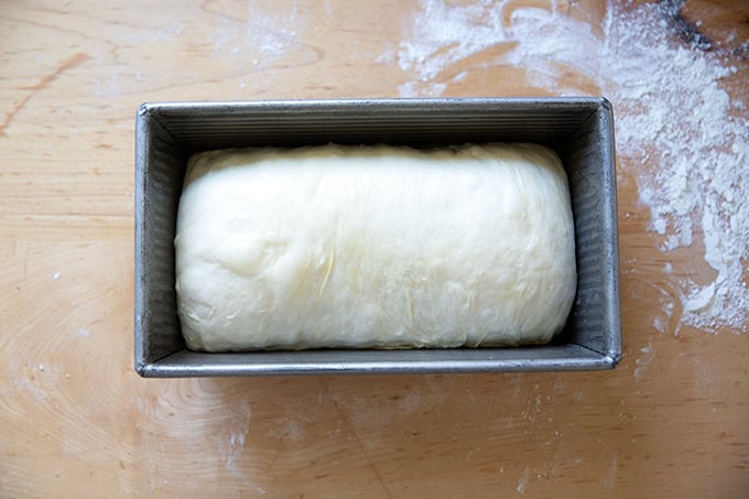Sandwich bread dough in a loaf pan ready to rise.