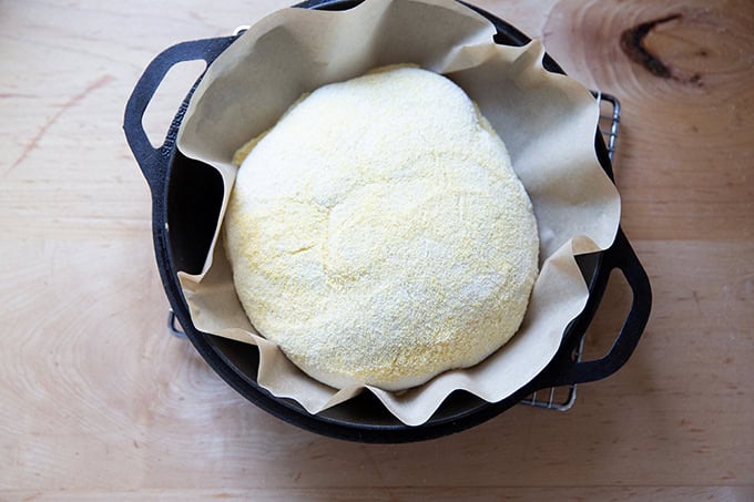 Jim Lahey's no knead dough in a cast iron skillet lined with parchment paper.