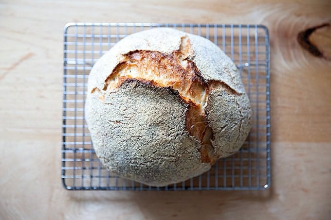 Jim Lahey's no-knead bread, just baked, on a cooling rack.
