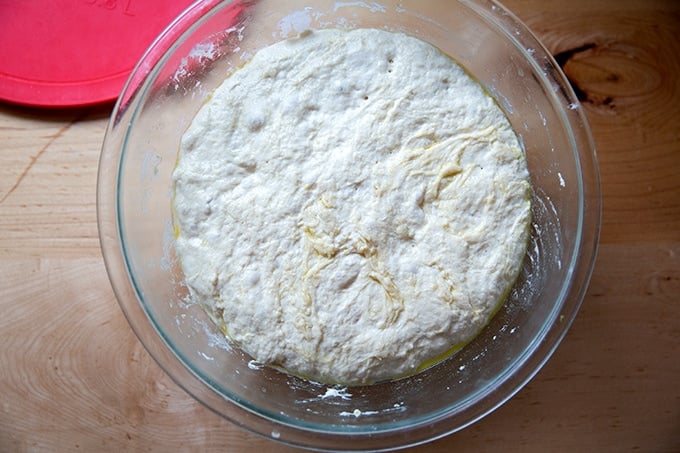 Focaccia dough in a bowl after 24 hours in the fridge.