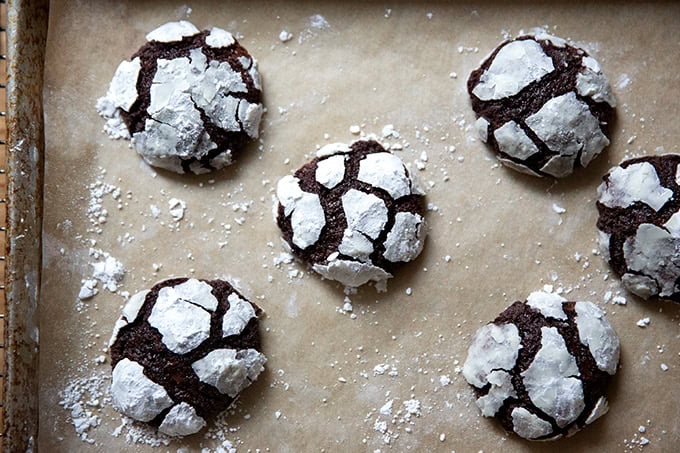 Just-baked chocolate crinkle cookies on a sheet pan.