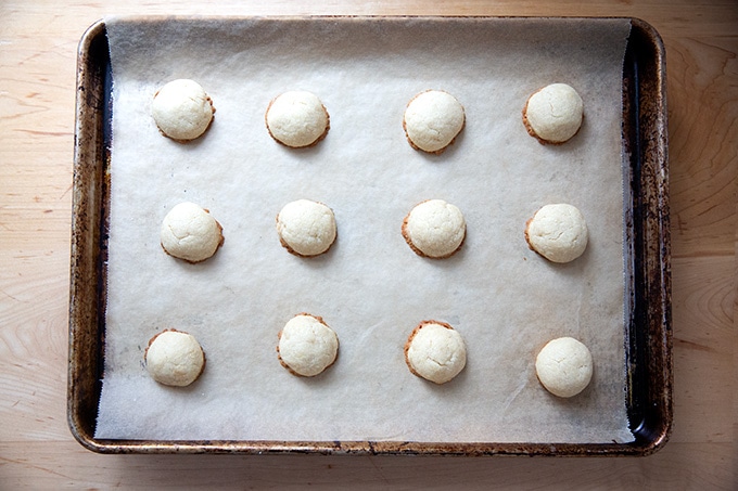 Just-baked lemon-almond snowball cookies.