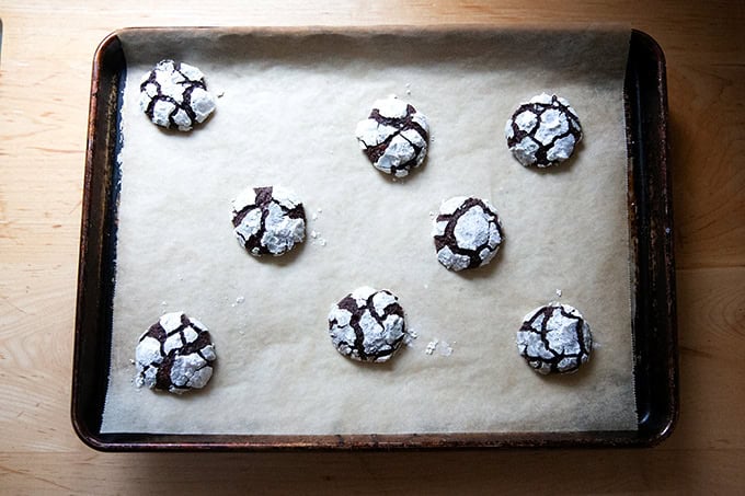 Just-baked chocolate crinkle cookies on a sheet pan.