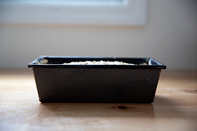 A loaf of oatmeal maple bread unbaked in its loaf pan, starting its second rise.