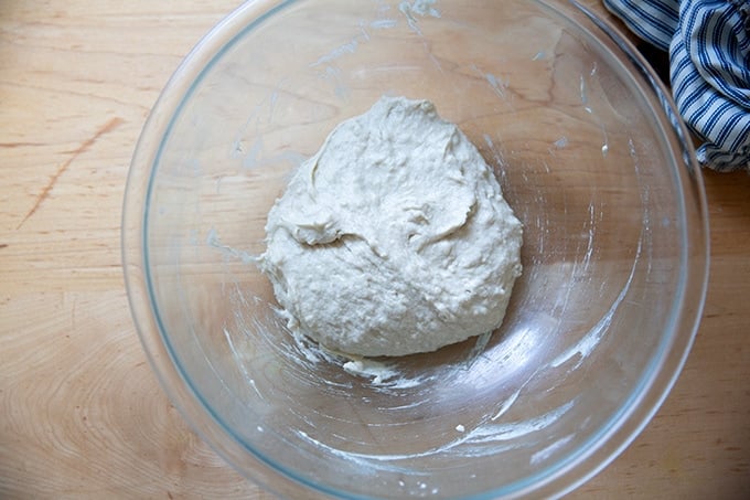 Just-mixed gluten-free pizza dough in a large bowl.
