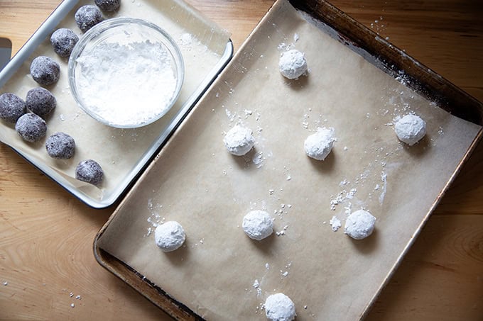 Chocolate crinkle cookie dough balls rolled in confectioners sugar and set on a sheet pan.