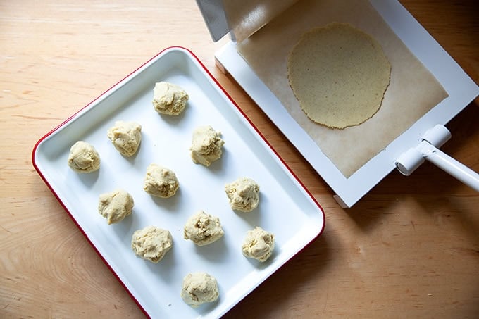 Portioned corn tortilla dough on a tray aside a tortilla press with a flattened tortilla in it.