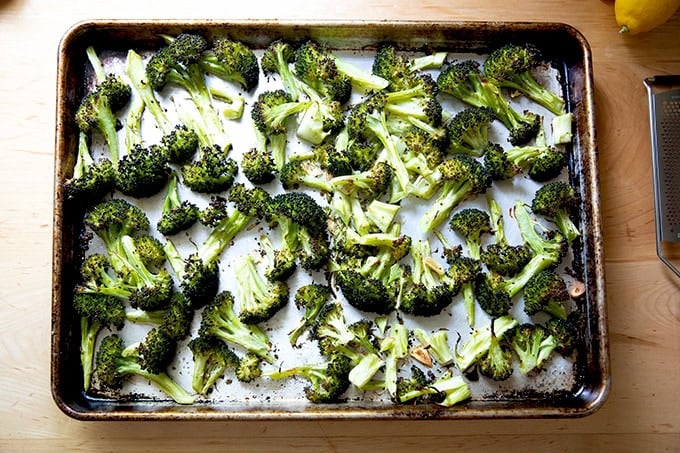 Just-roasted broccoli on a sheet pan out of the oven.
