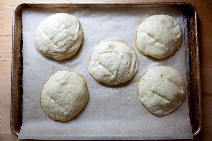 Five unbaked pretzel rolls on a sheet pan.