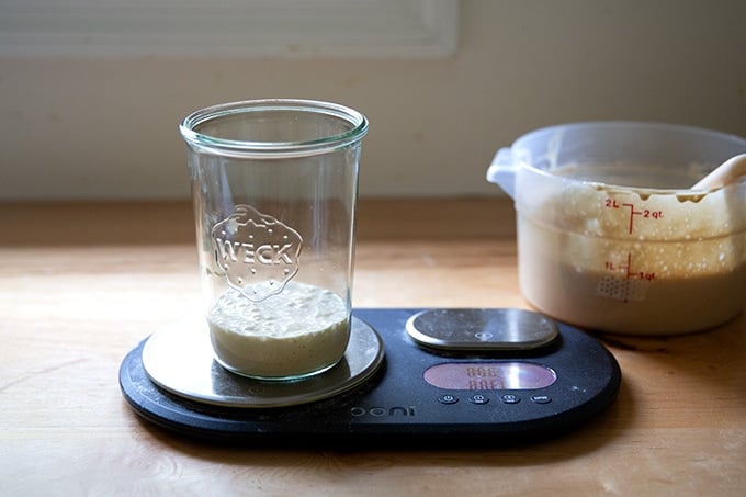 A Weck jar on a scale holding sourdough starter.