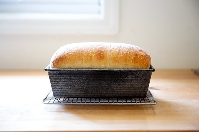 A just-baked loaf of sourdough discard toasting bread still in its loaf pan on a rack.