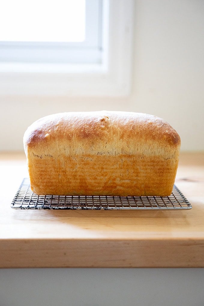 A just-baked loaf of sourdough discard toasting bread on a cooling rack.