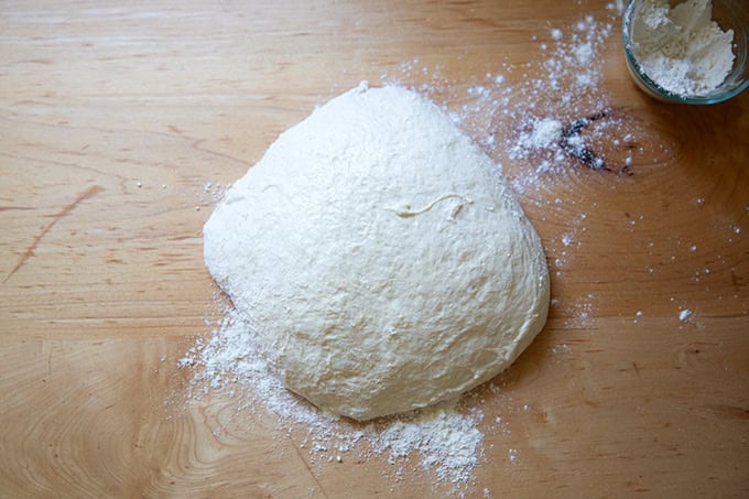 Sourdough discard toasting bread dough, after its first rise, turned out onto a work surface.