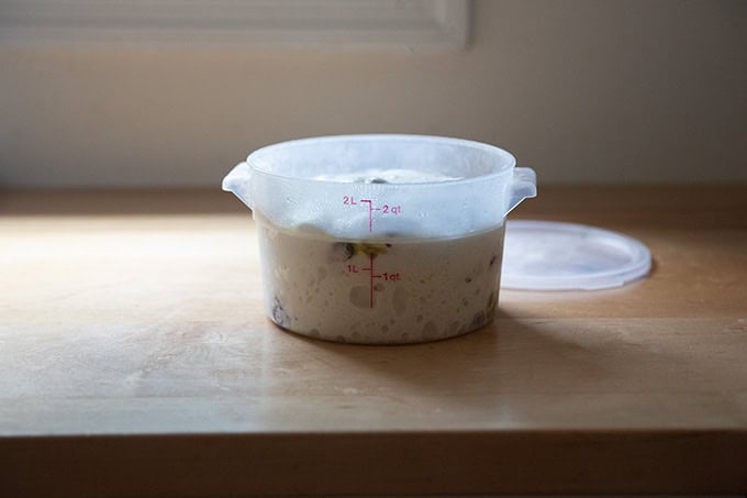 A two-quart dough storage container filled with rosemary-olive sourdough dough.