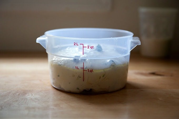 A two-quart dough storage container filled with rosemary-olive sourdough dough.