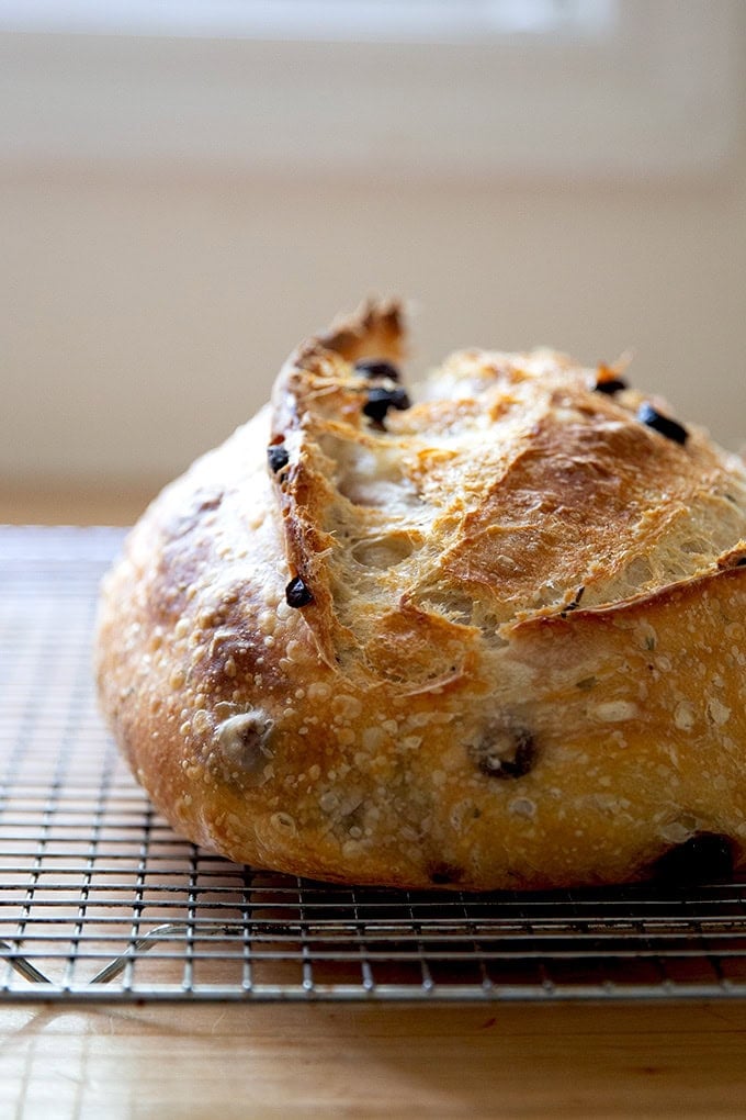 A close-up shot of the "ear" on a loaf of just-baked sourdough bread.