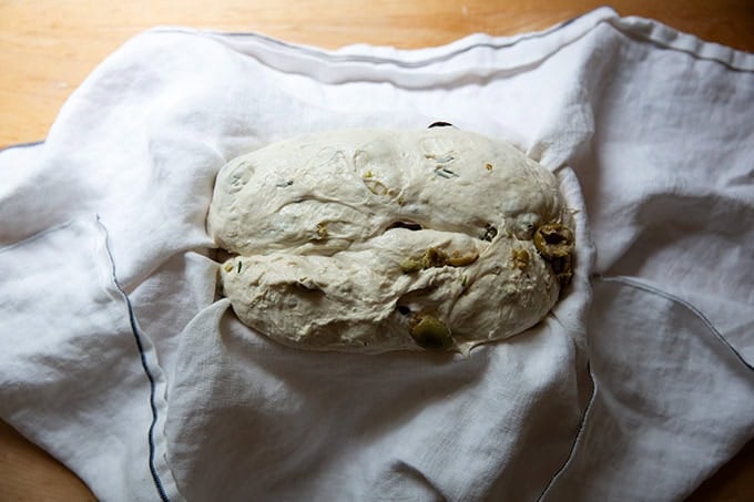 An unbaked loaf of rosemary-olive sourdough bread in a tea towel-lined banneton.