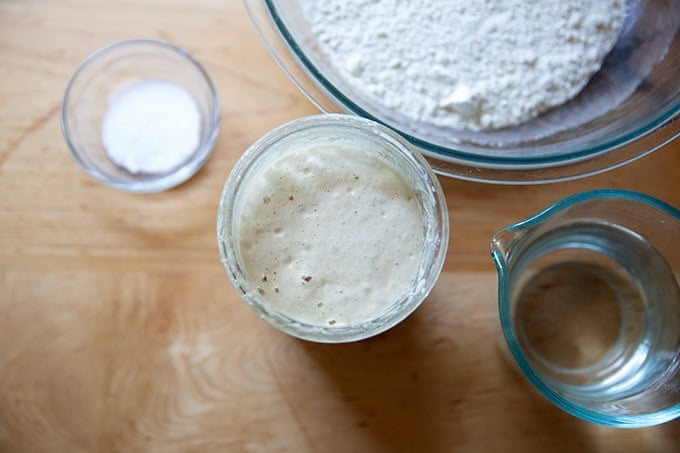 The ingredients to make sourdough bread on a countertop: an active bubbly sourdough starter, water, salt, and flour.