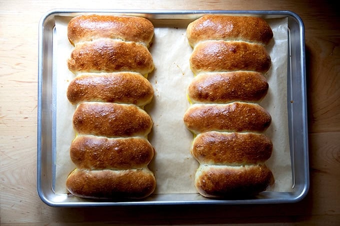 Just-baked brioche hot dog buns on a sheet pan.