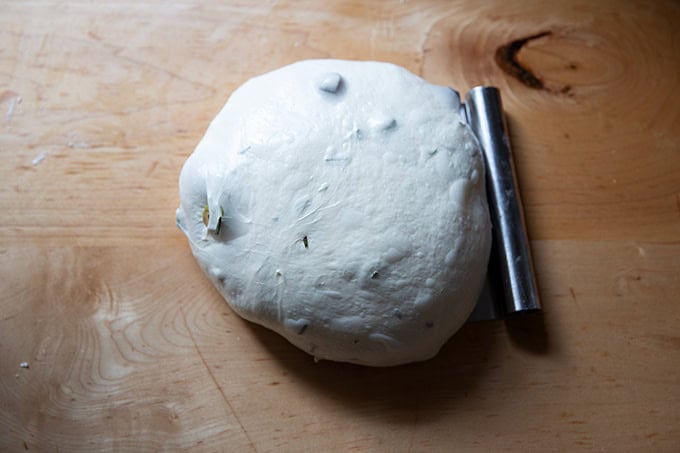 A shaped round of rosemary olive sourdough aside a bench scraper on a countertop.