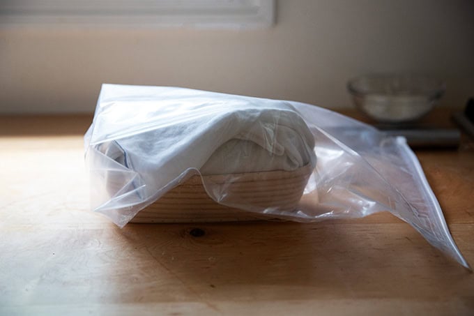 A banneton filled with rosemary-olive sourdough dough tucked inside a large ziplock bag, ready to go into the fridge.