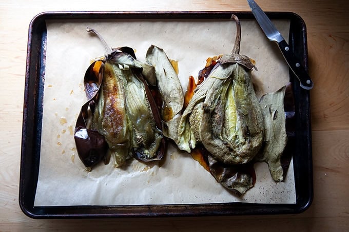 Roasted eggplant on a sheet pan, their skin split open to reveal their flesh.