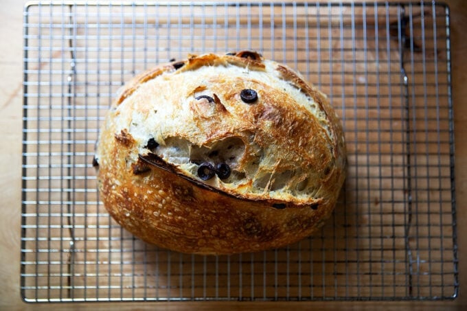 A freshly baked loaf of rosemary-olive sourdough bread on a cooling rack.