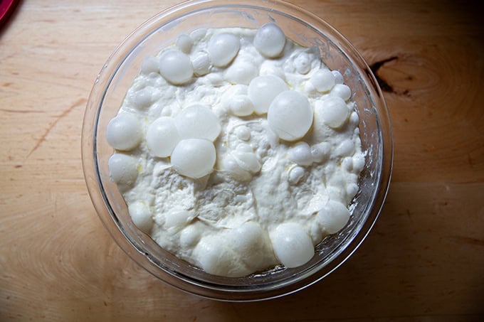 Risen grandma-style pizza dough after 10 hours at room temperature.