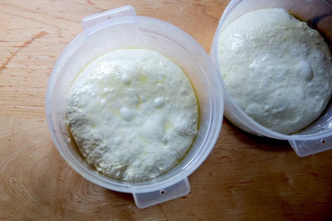 Two two-quart dough storage containers, each filled with a round of grandma-style pizza dough.