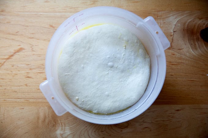 A 2-quart dough storage container filled with one round of grandma-style pizza dough.