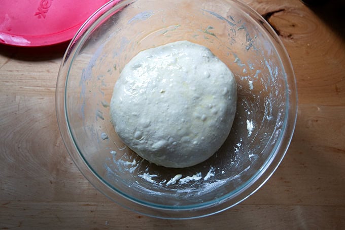 A bowl filled with stretched and folded focaccia dough, slicked with oil, ready for its fridge rise.