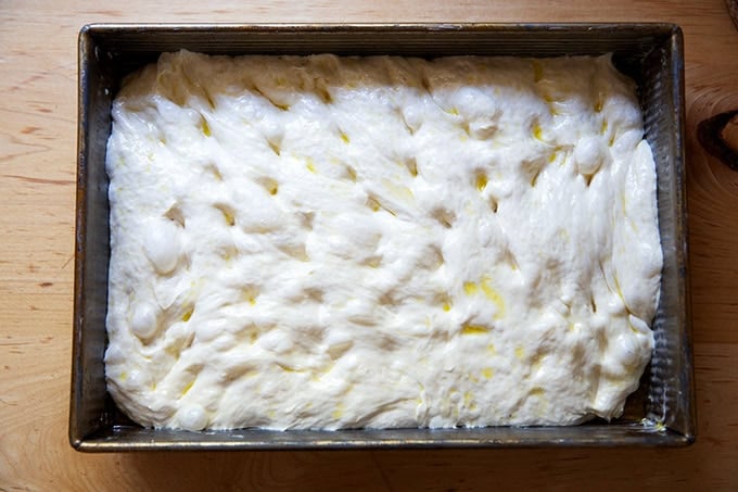 A 9x13-inch pan filled with focaccia dough stretched edge to edge.