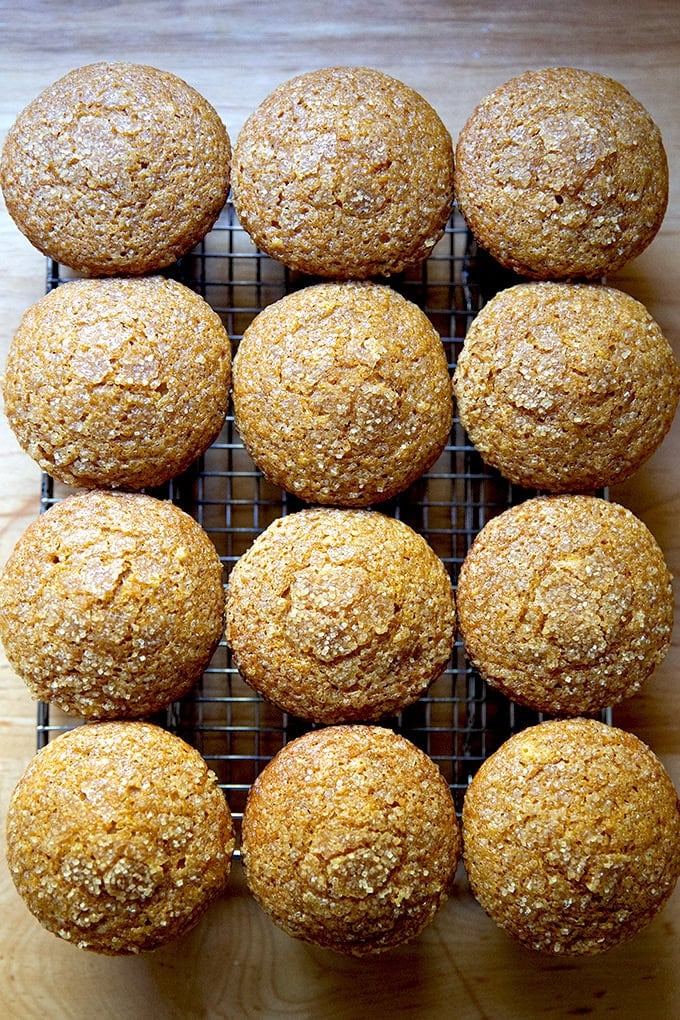 Twelve just-baked pumpkin muffins on a cooling rack.