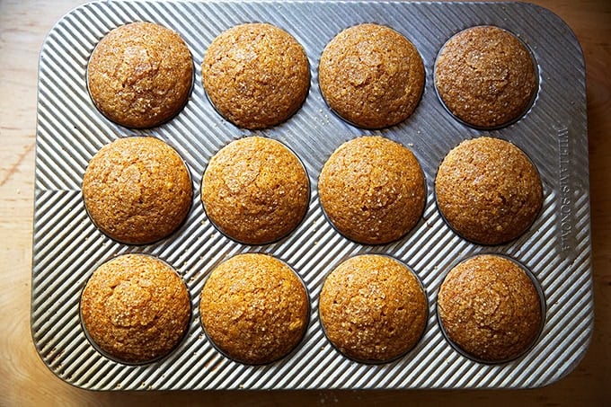 Just-baked pumpkin muffins still in their muffin tin.