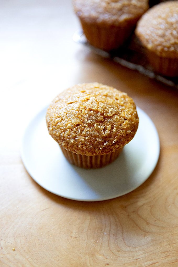 A pumpkin muffin on a plate.