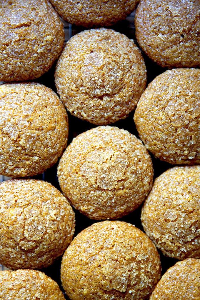Just-baked pumpkin muffins on a cooling rack.
