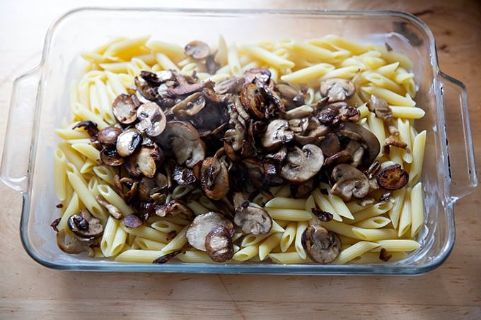 A 9x13-inch pan filled with pasta and sautéed mushrooms for turkey tetrazzini.