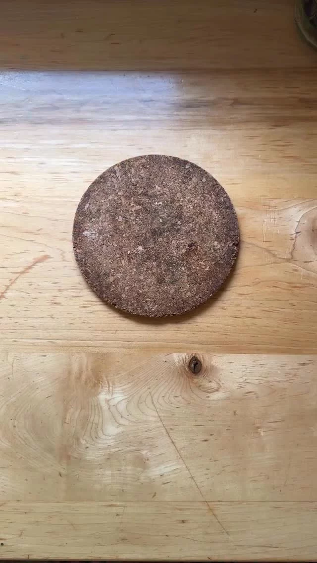 Friends! If you make one last cherry tomato recipe this summer, may it be this one 🍅🍅🍅🍅
⁣
This is an old favorite recipe that I recently updated/simplified. It’s a one-skillet job, and it’s a tasty one — the whole fam loved it. Hope you do, too 💗
⁣
Comment “recipe” to have it sent straight to your DMs 👇
⁣
https://vector-hatch.live/2017/08/11/one-pan-baked-ziti-miracle/

#summer #fall #pasta